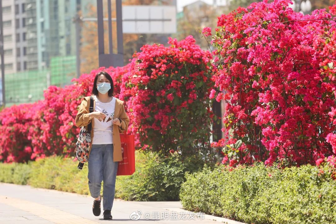 “昆明盘龙发布”微博