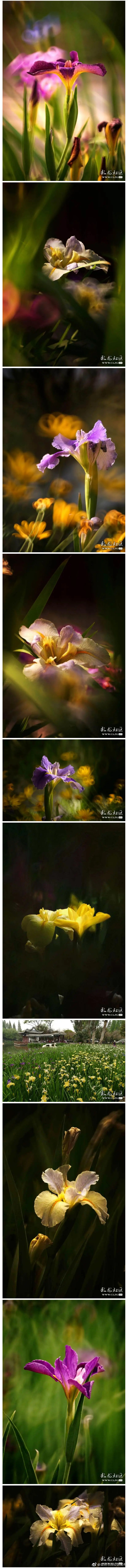 “昆明市西山区发布”微博