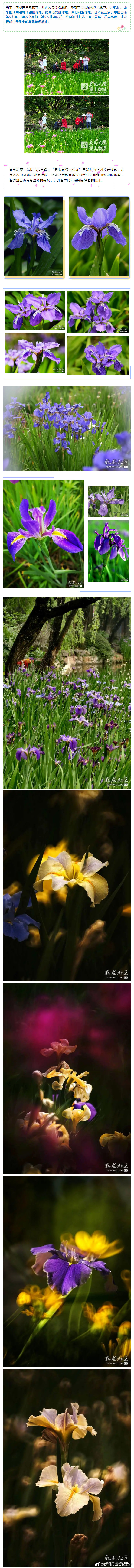 “昆明市西山区发布”微博