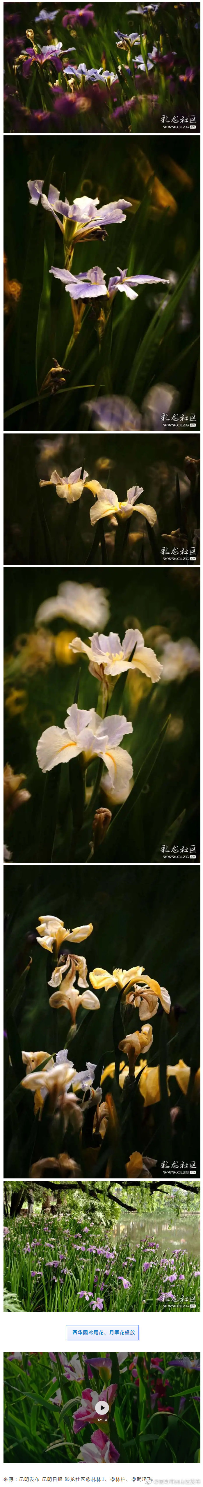 “昆明市西山区发布”微博