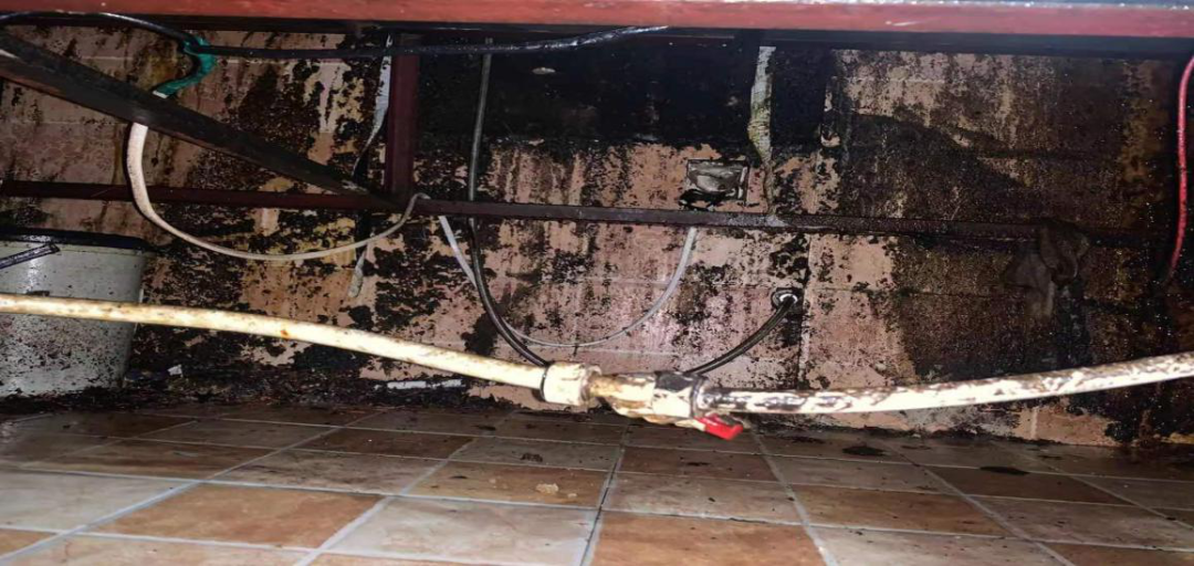 玉溪发布(微信)