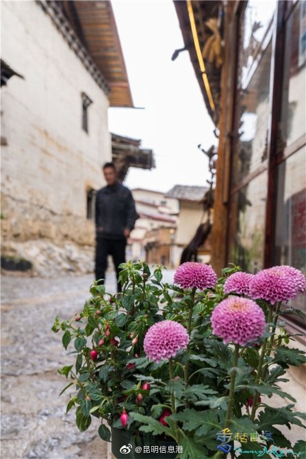 昆明信息港微博
