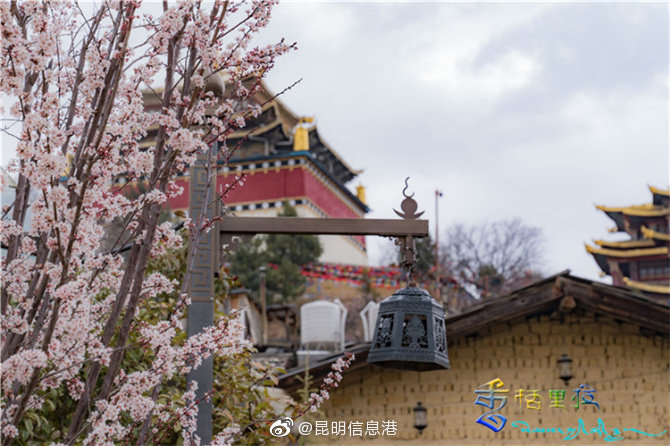 昆明信息港微博