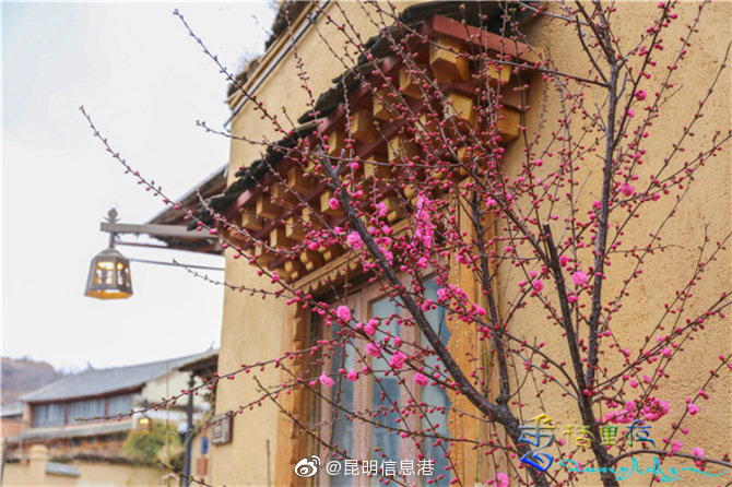 昆明信息港微博