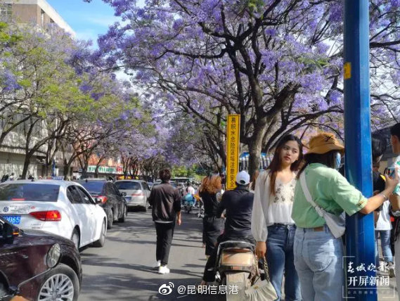 昆明信息港微博