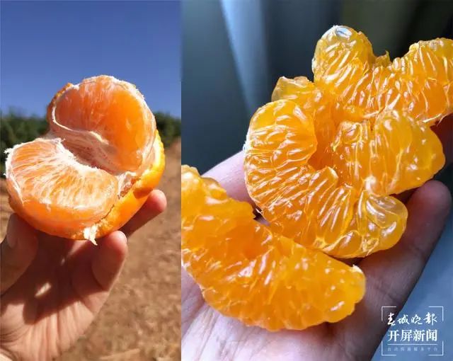 春城晚报(微信)