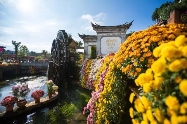 春城晚报(微信)