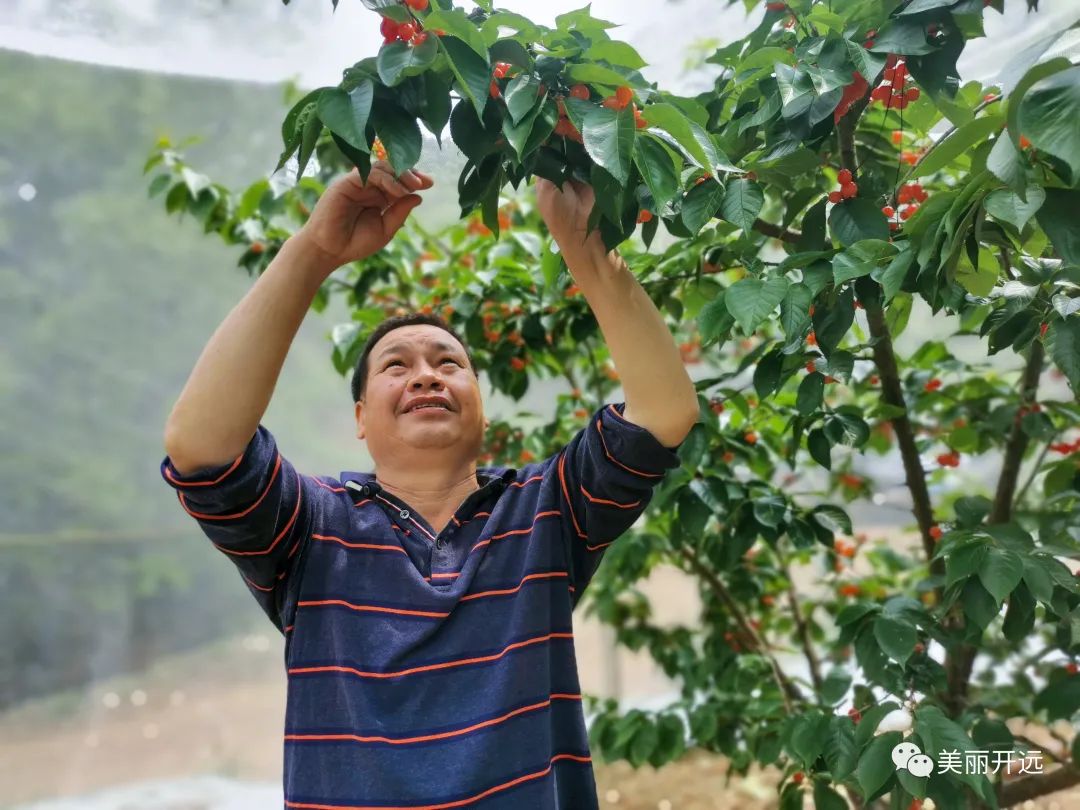 红河日报(微信)