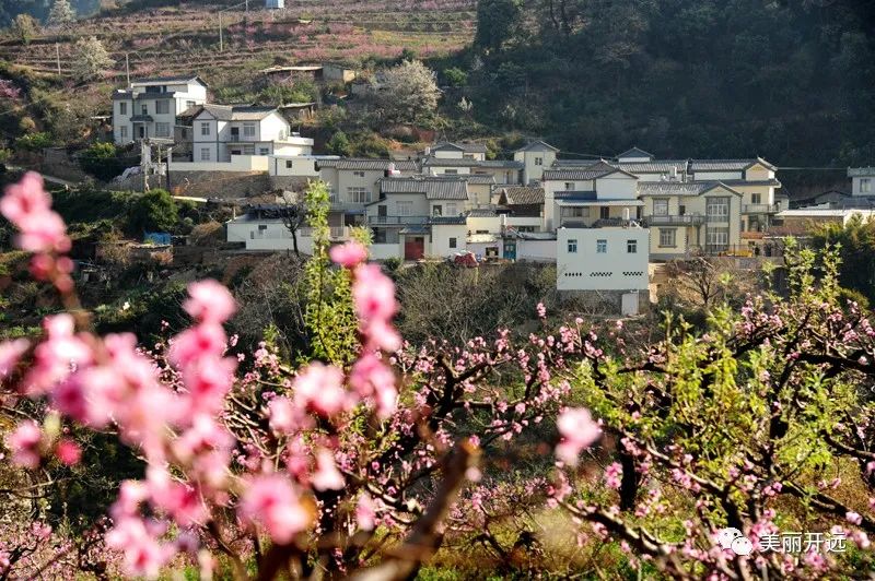 红河日报(微信)