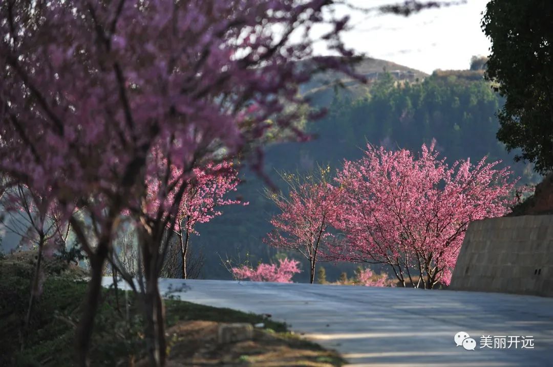 红河日报(微信)