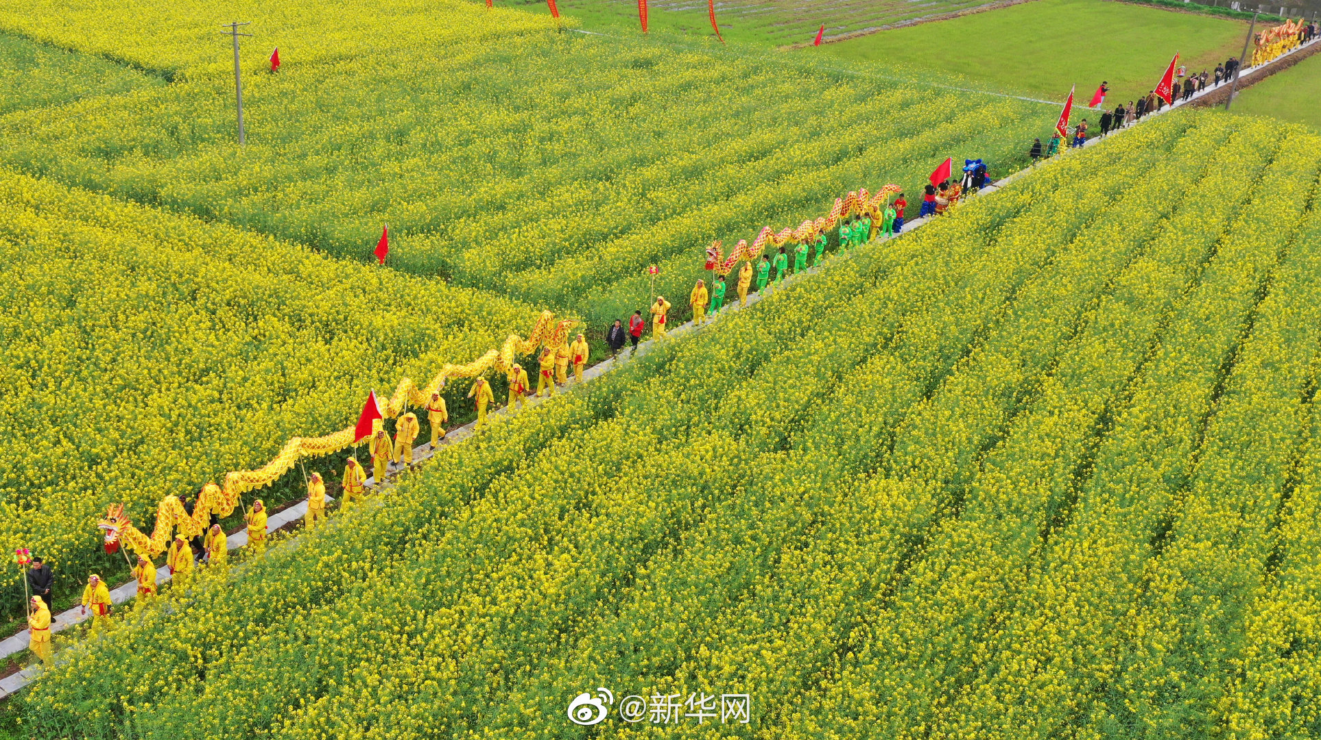 中国农民丰收节拟写入法律