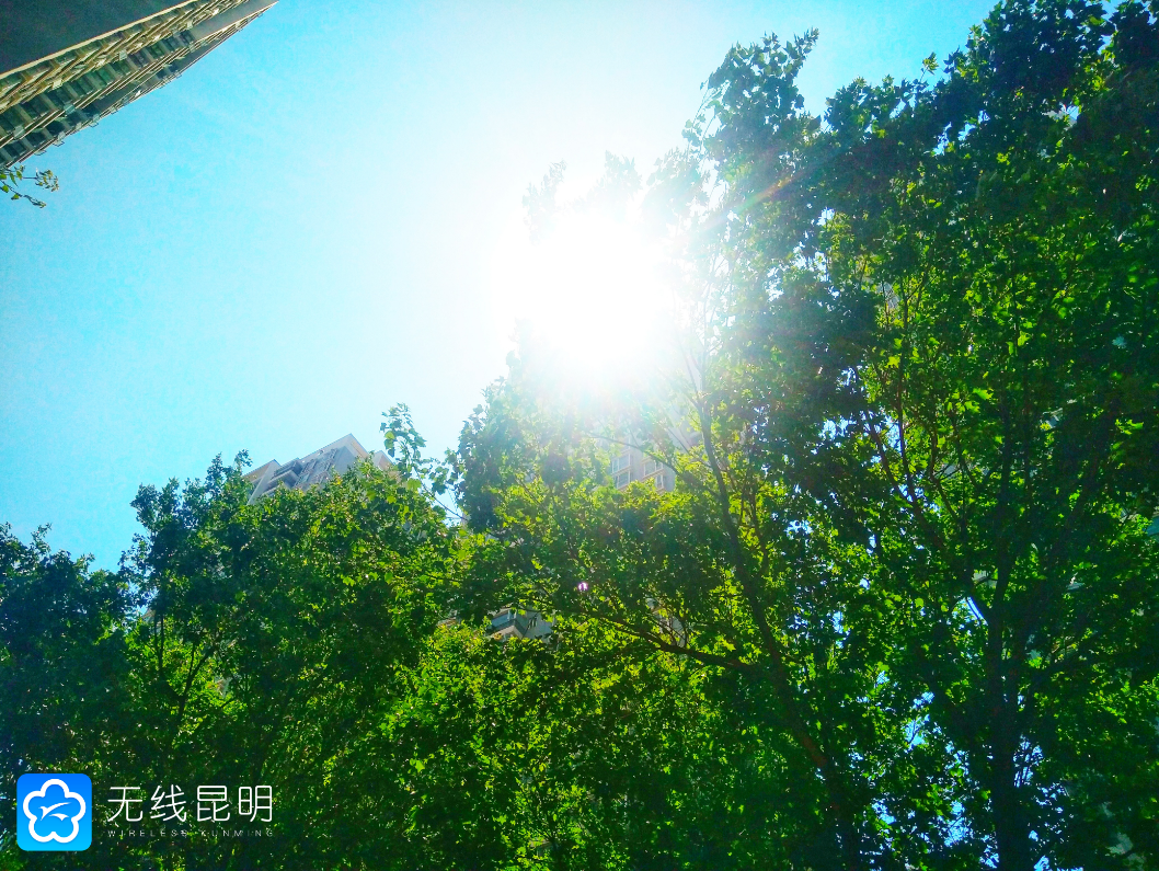 昆明信息港(微信)