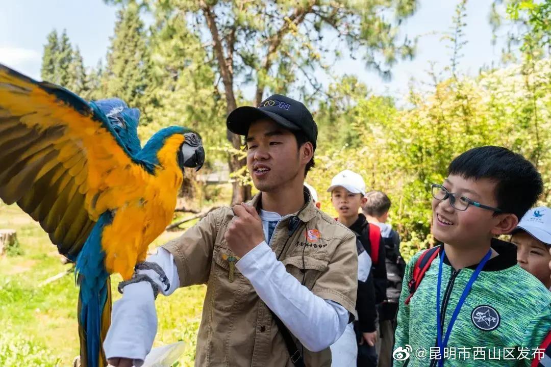 “昆明市西山区发布”微博