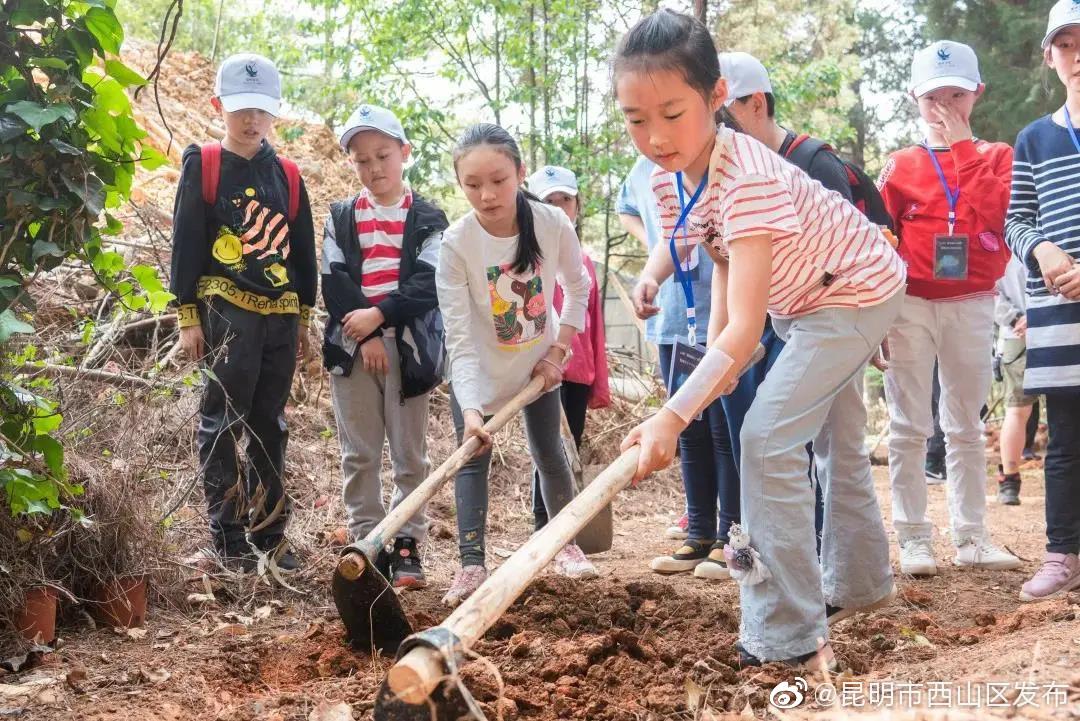 “昆明市西山区发布”微博