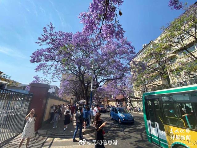 昆明信息港微博