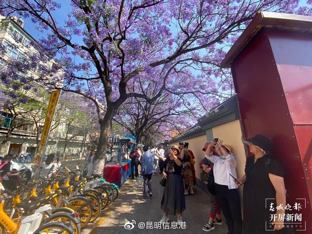 昆明信息港微博