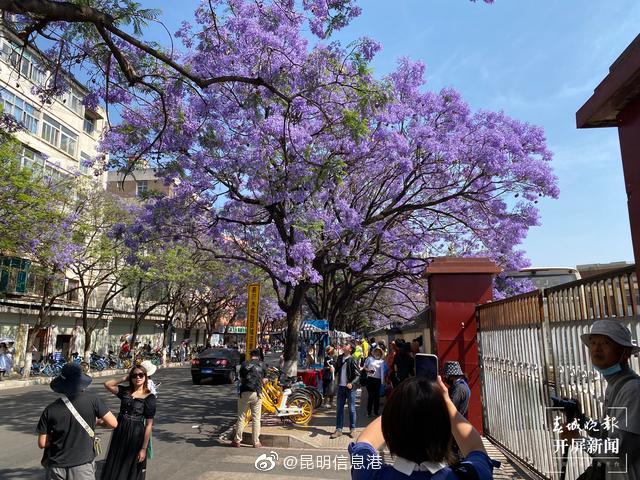 昆明信息港微博