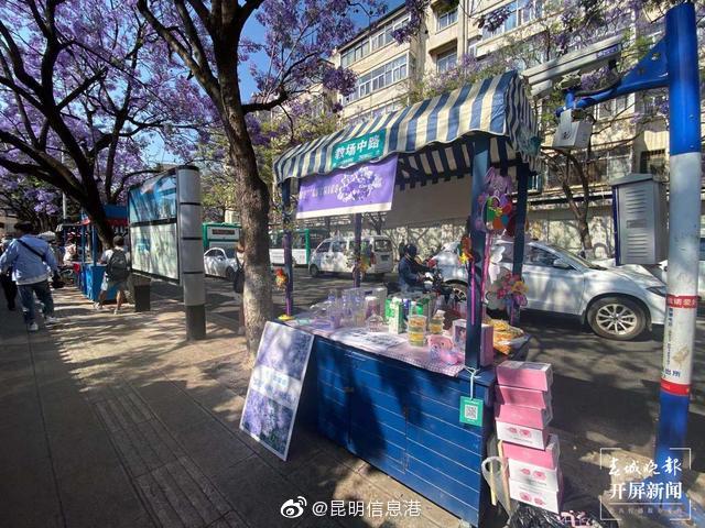 昆明信息港微博