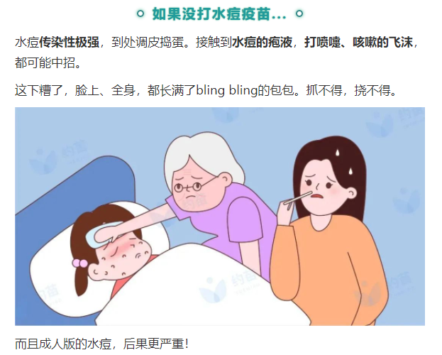 云南楚雄网(微信)