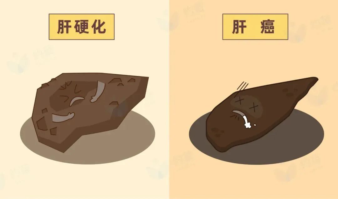 云南楚雄网(微信)