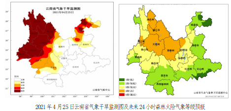 丽江日报(微信)