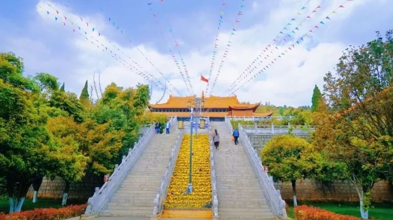 红河文旅(微信)