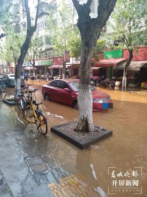 春城晚报(微信)