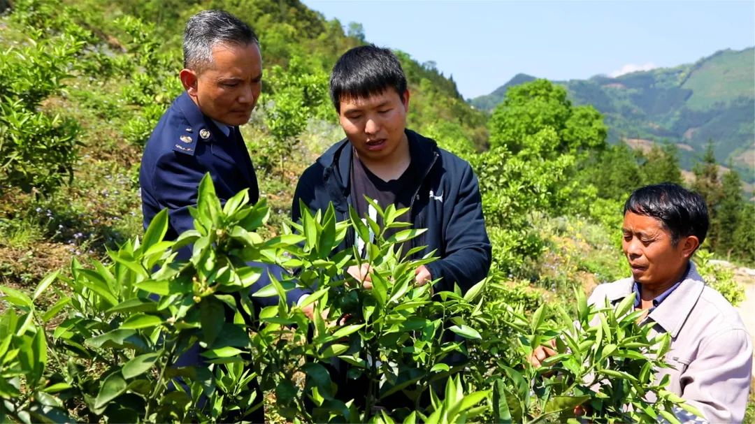 红河日报(微信)