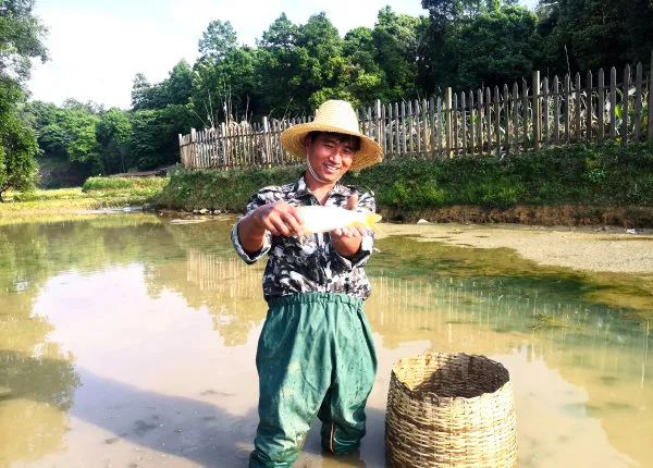 红河日报(微信)