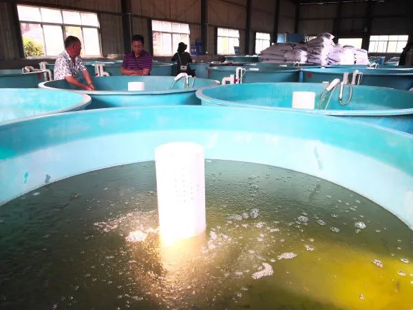 红河日报(微信)