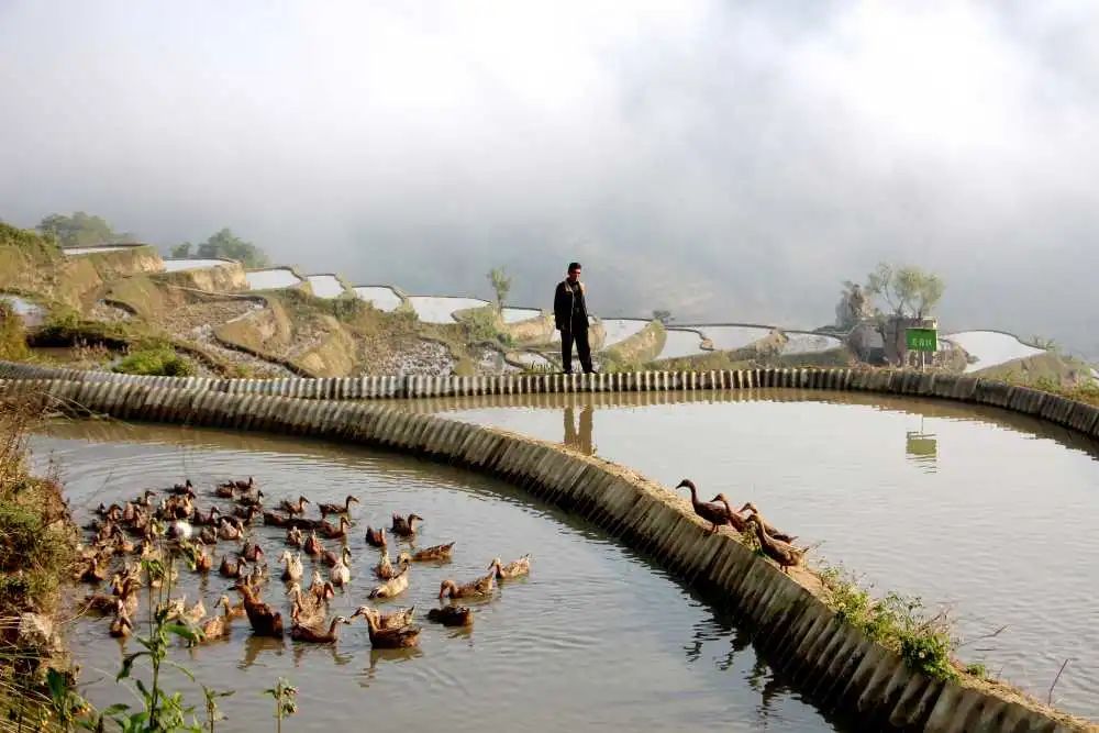 红河日报(微信)