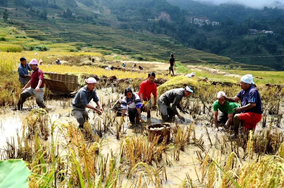 红河日报(微信)