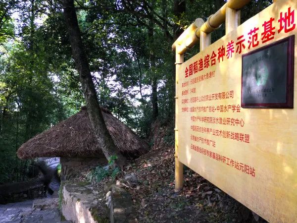 红河日报(微信)