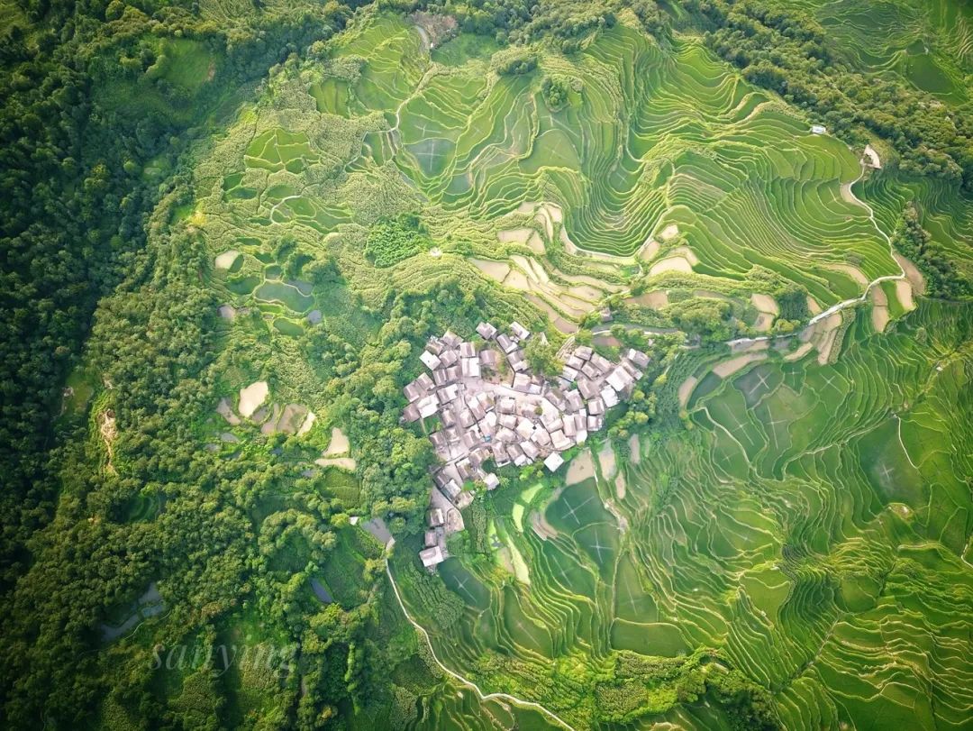 红河日报(微信)