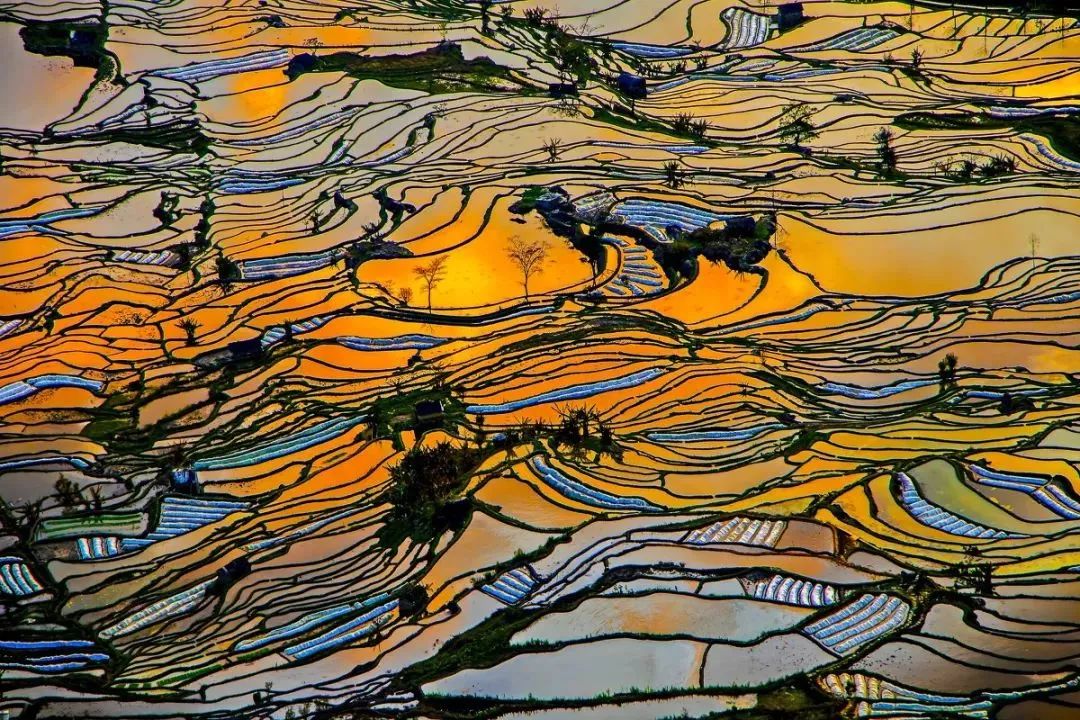 红河日报(微信)