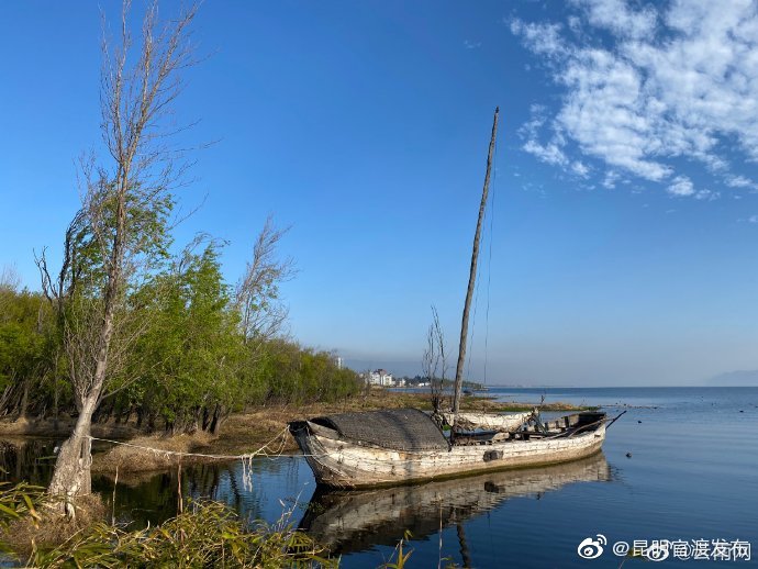 “市民河长”捞渔河开展环境DNA公民科学研究