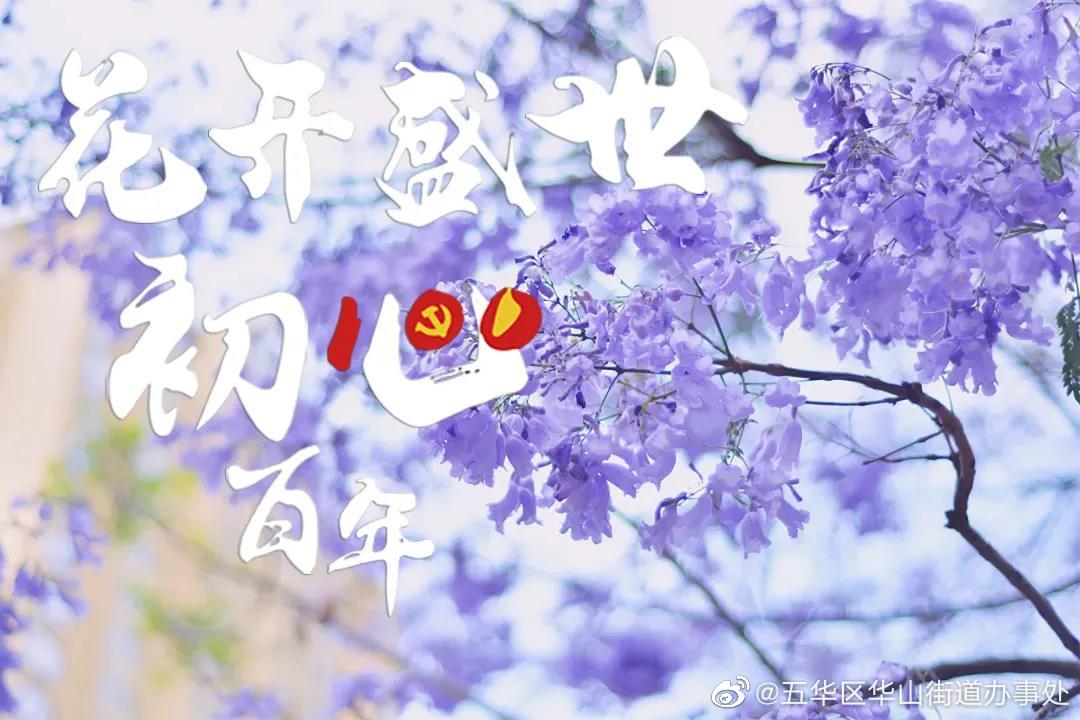 花开盛世 初心百年 | 昆明蓝花楹网络文化节活动今日正式上线