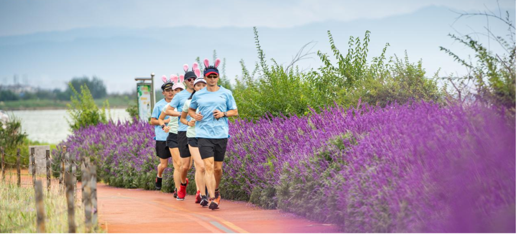 昆明发布(微信)