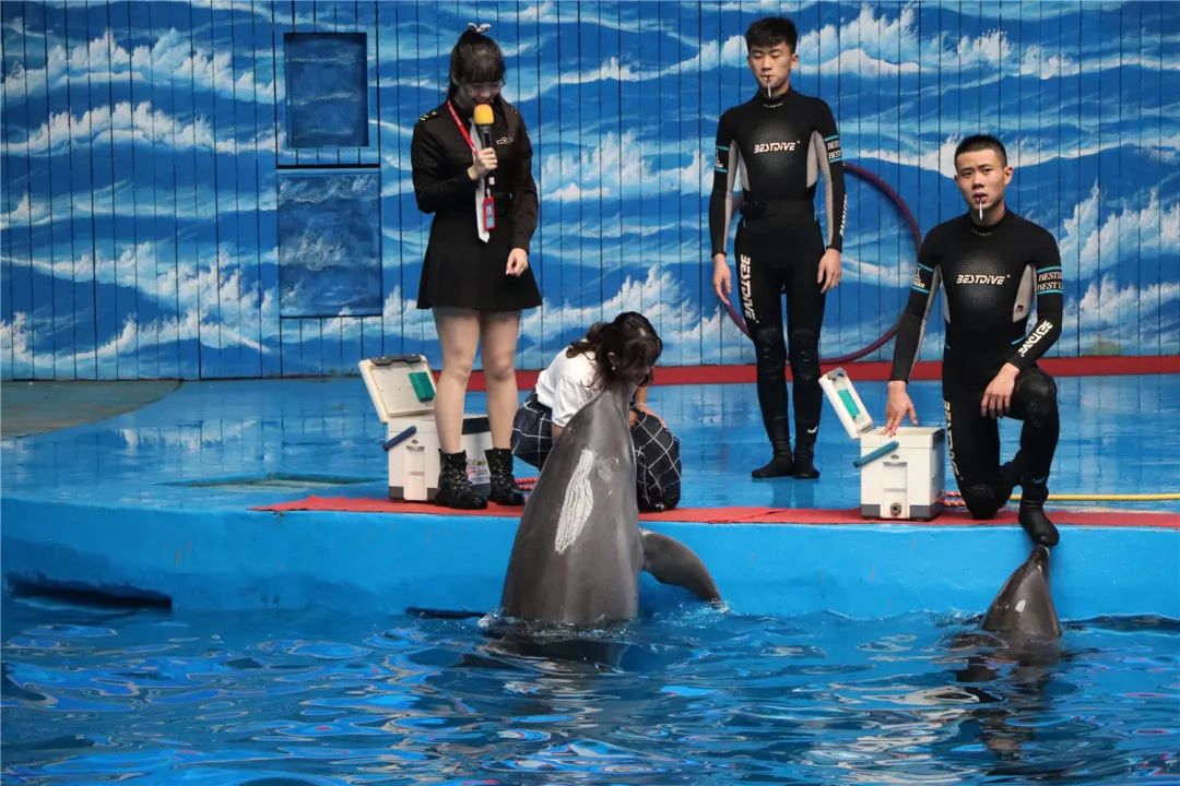 昆明发布(微信)