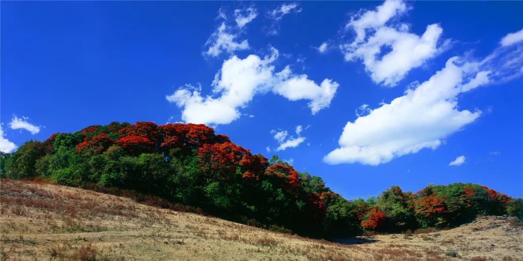 昆明发布(微信)