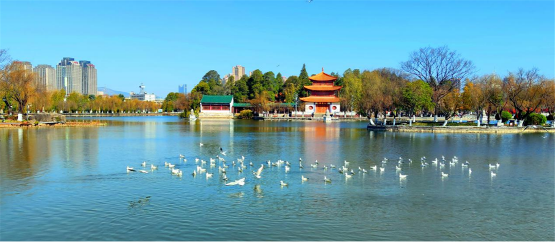 昆明发布(微信)