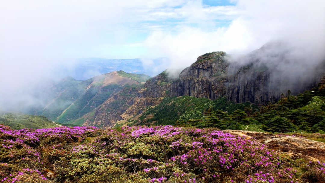 昆明发布(微信)