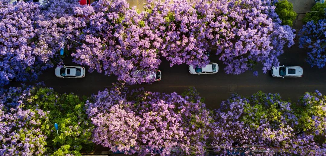 昆明发布(微信)