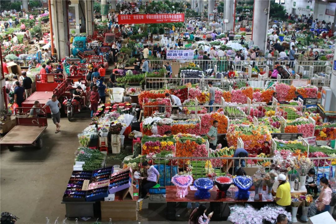 昆明发布(微信)