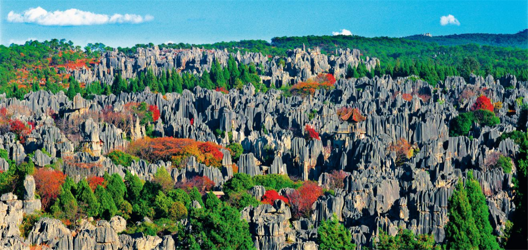 昆明发布(微信)