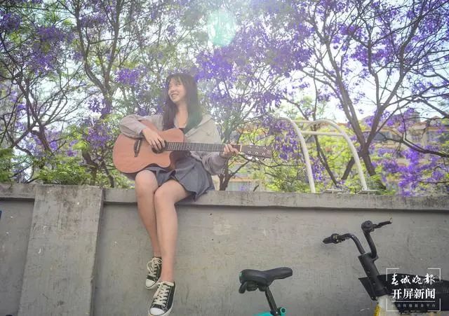 春城晚报(微信)