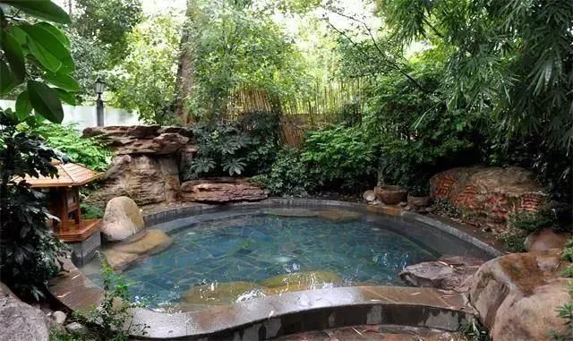 春城晚报(微信)