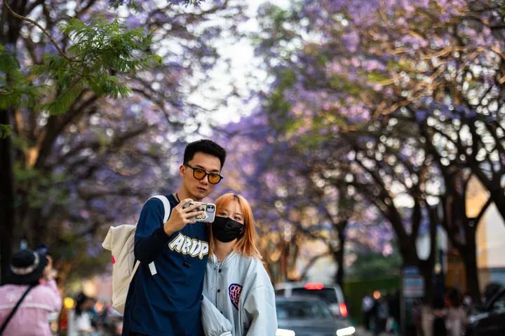 东川发布(微信)