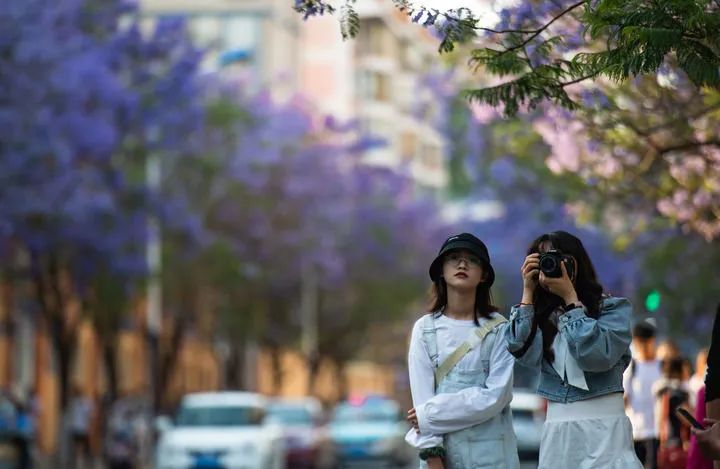 东川发布(微信)