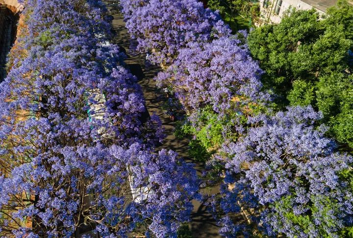 东川发布(微信)